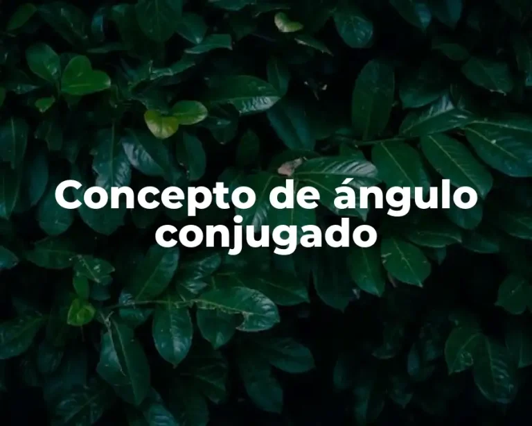 Concepto de ángulo conjugado