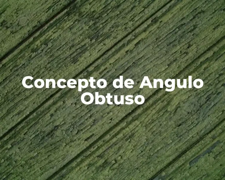 Concepto de Angulo Obtuso