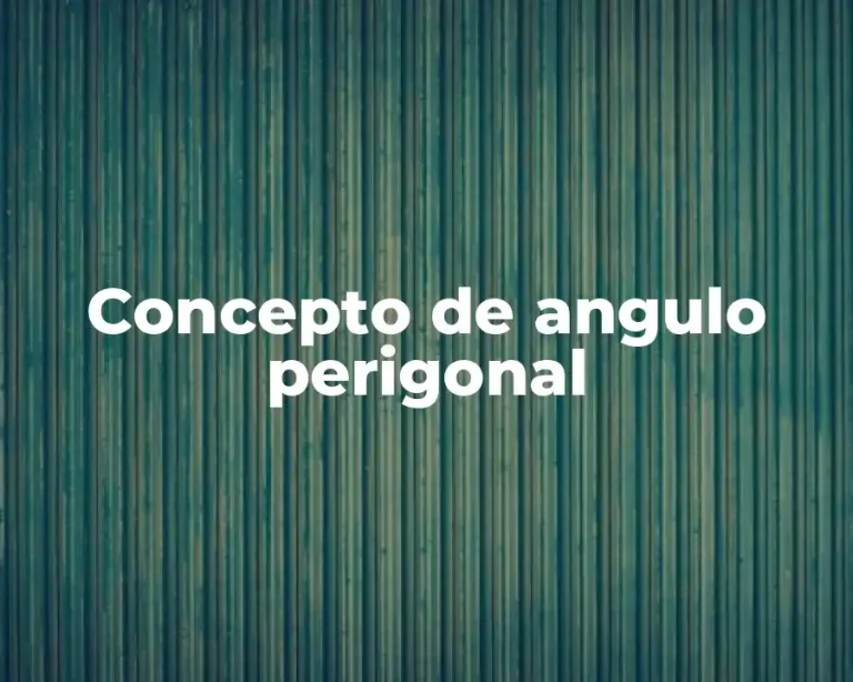 Concepto de angulo perigonal