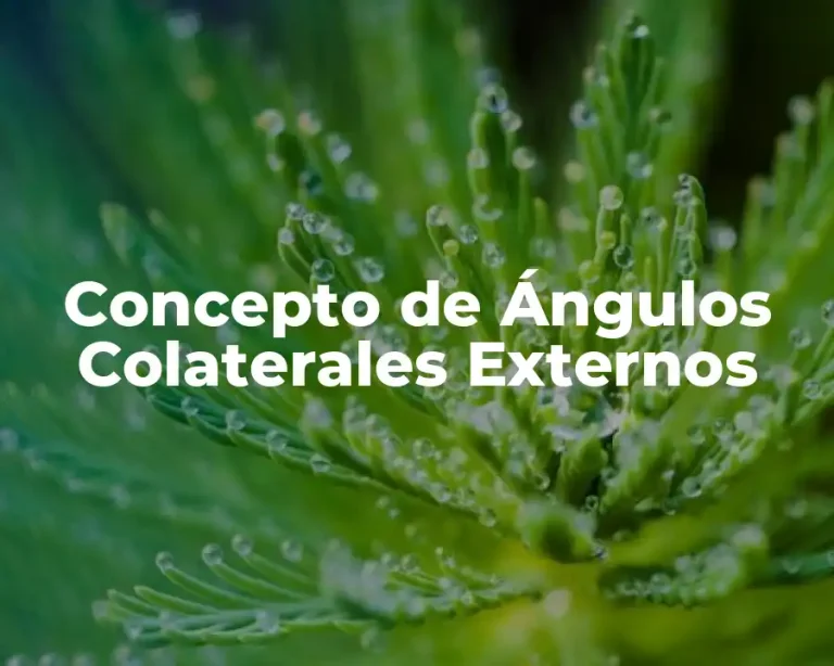 Concepto de Ángulos Colaterales Externos