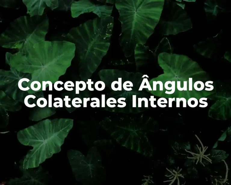Concepto de Ângulos Colaterales Internos