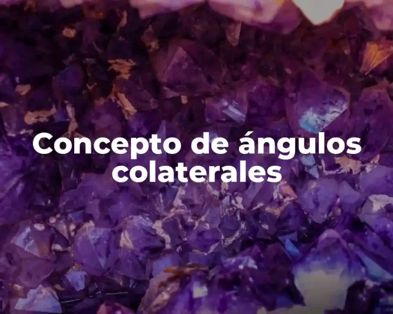 Concepto de ángulos colaterales