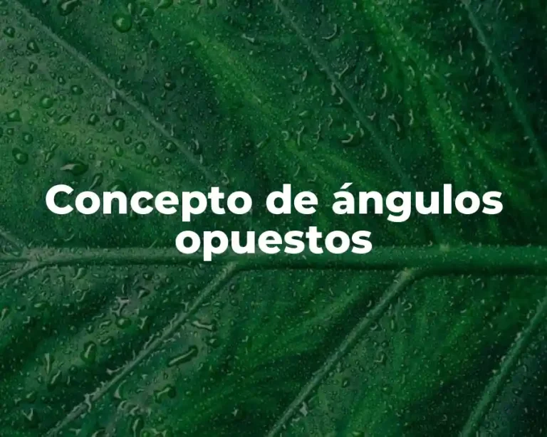 Concepto de ángulos opuestos