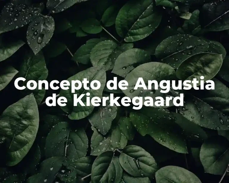Concepto de Angustia de Kierkegaard