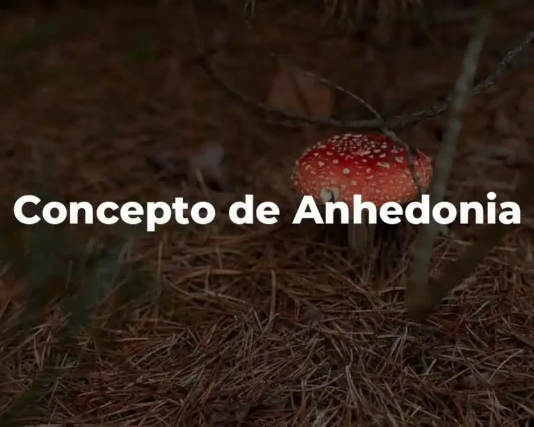 Concepto de Anhedonia