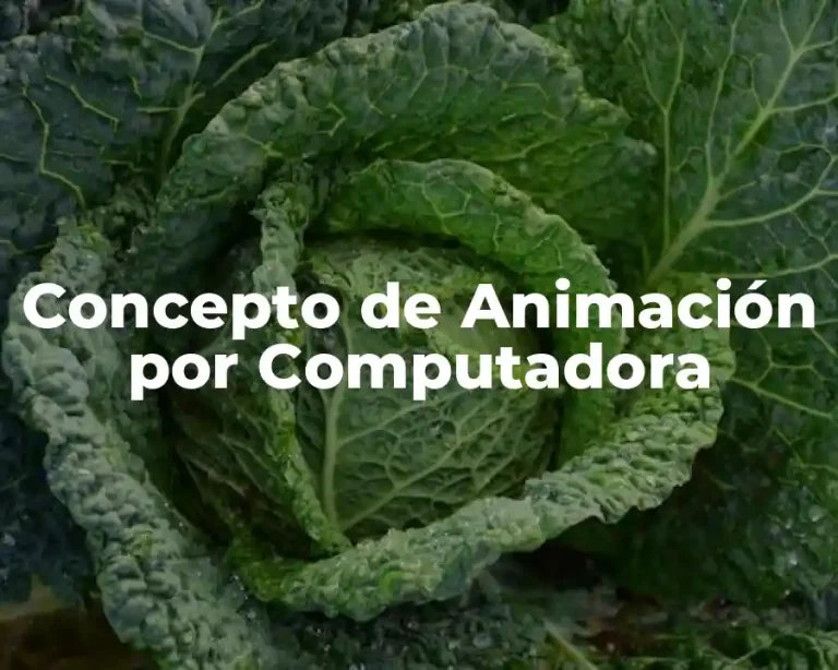 Concepto de Animación por Computadora