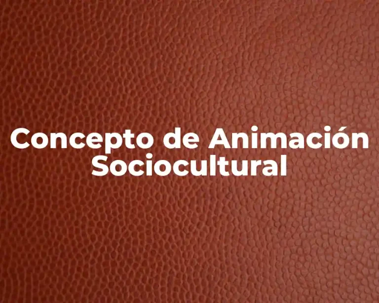 Concepto de Animación Sociocultural