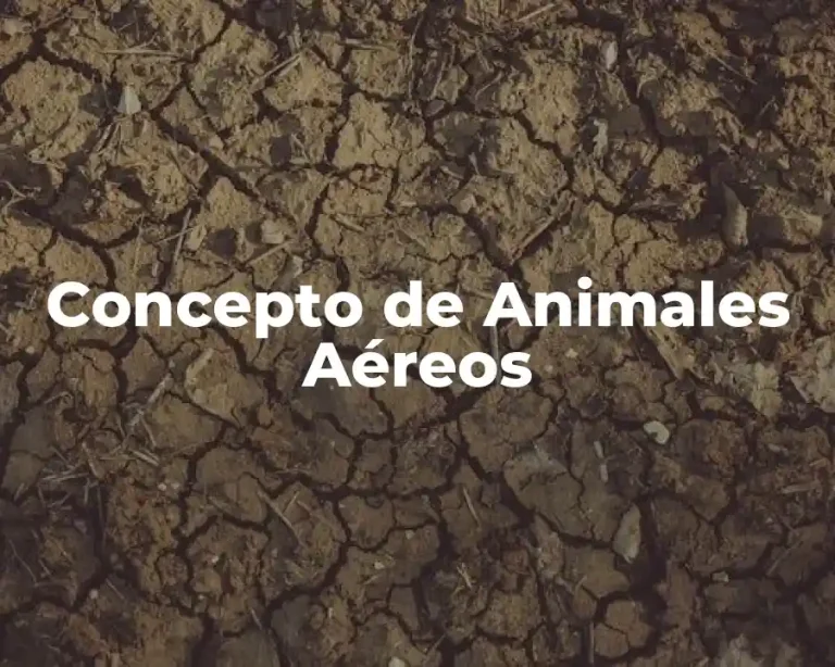 Concepto de Animales Aéreos