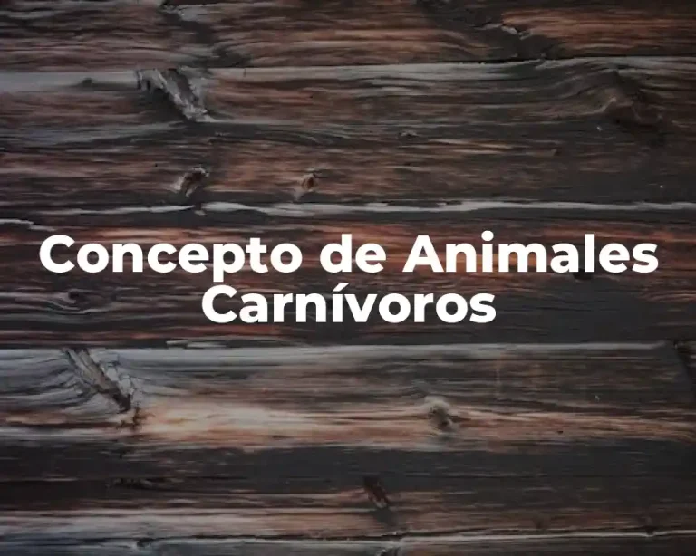 Concepto de Animales Carnívoros