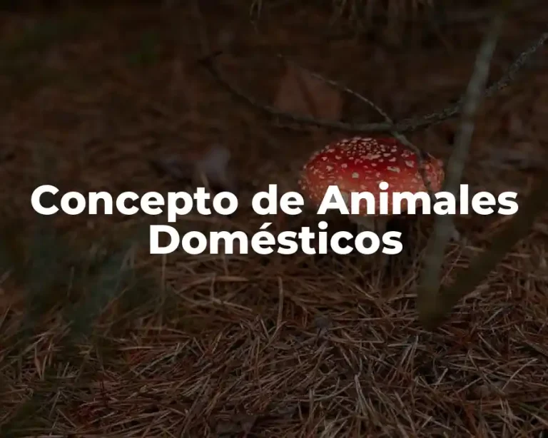 Concepto de Animales Domésticos