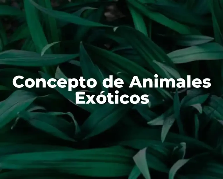 Concepto de Animales Exóticos