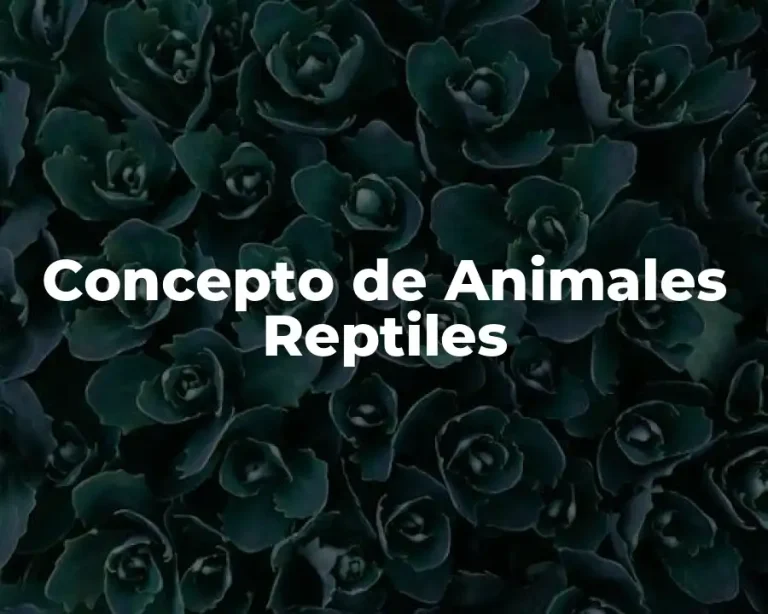 Concepto de Animales Reptiles
