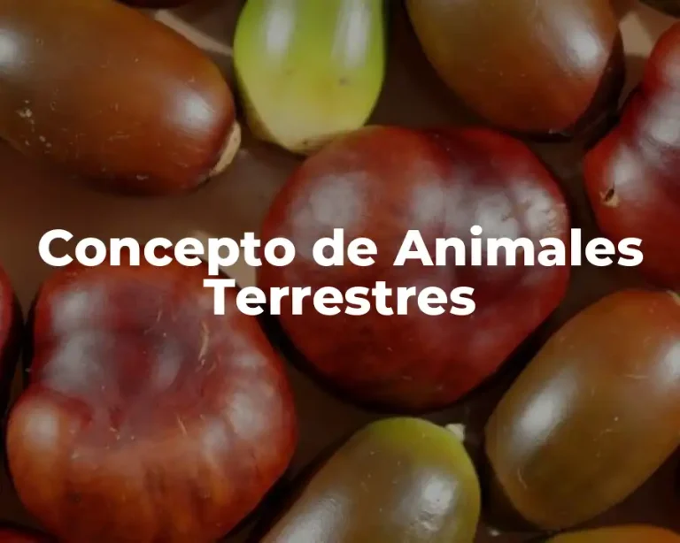 Concepto de Animales Terrestres