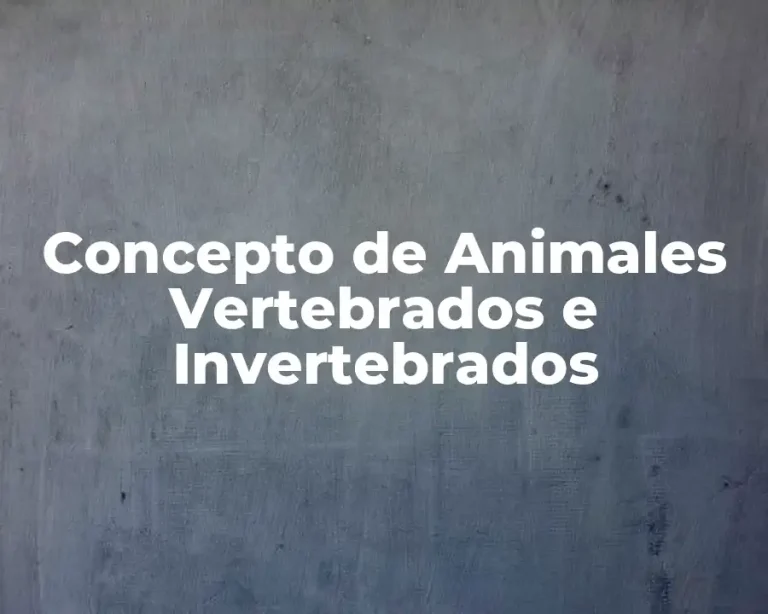 Concepto de Animales Vertebrados e Invertebrados