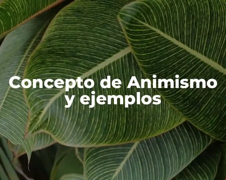 Concepto de Animismo y ejemplos