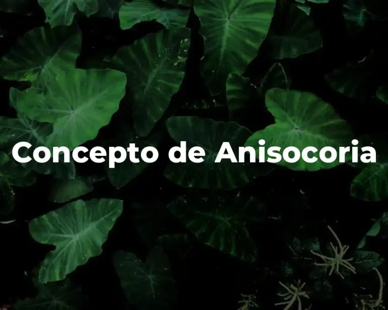Concepto de Anisocoria