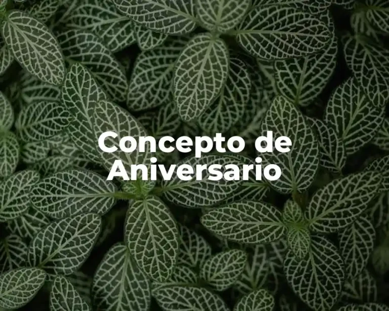 Concepto de Aniversario