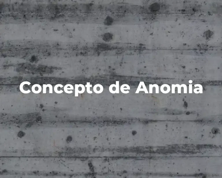 Concepto de Anomia