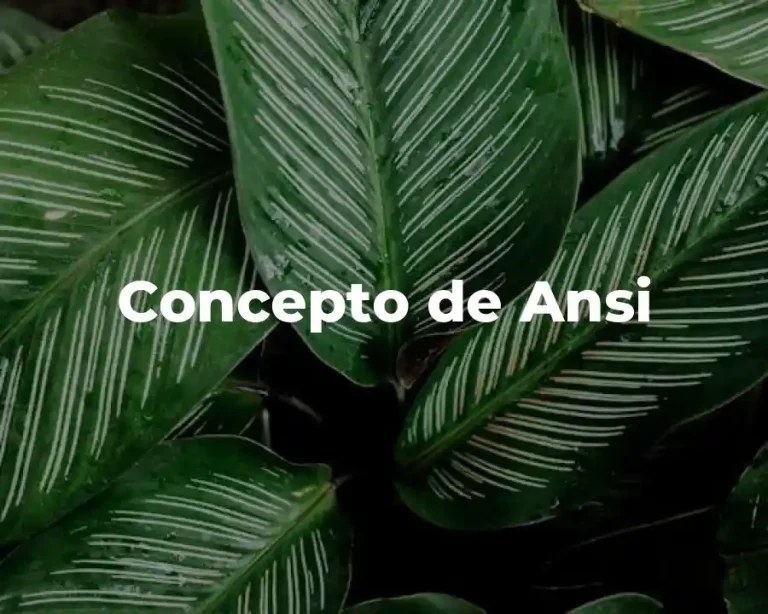 Concepto de Ansi