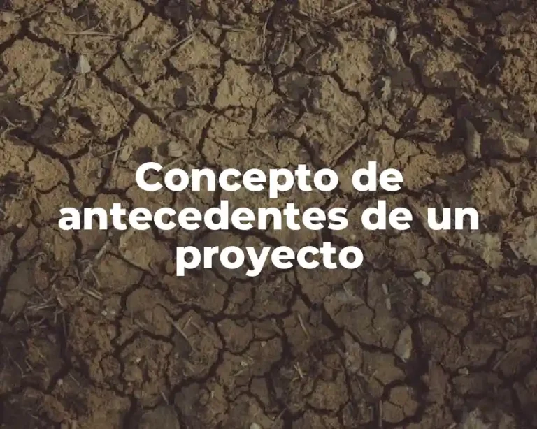 Concepto de antecedentes de un proyecto