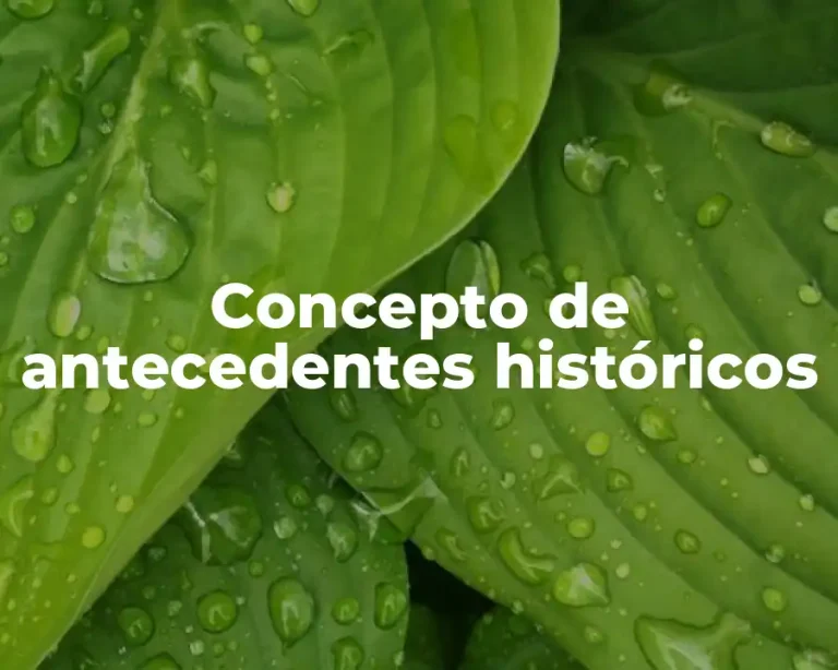Concepto de antecedentes históricos