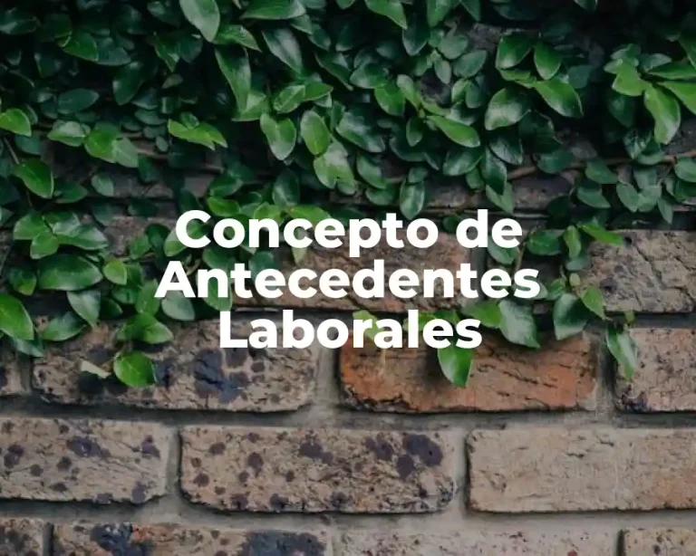 Concepto de Antecedentes Laborales