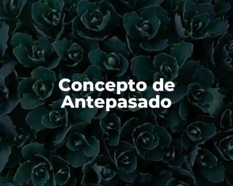 Concepto de Antepasado