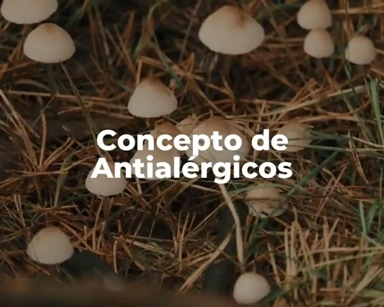 Concepto de Antialérgicos
