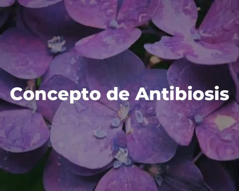 Concepto de Antibiosis
