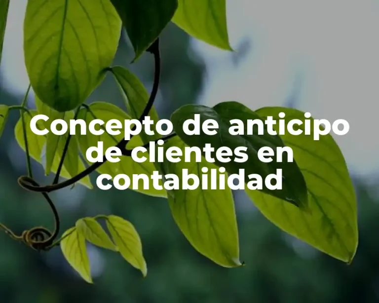 Concepto de anticipo de clientes en contabilidad