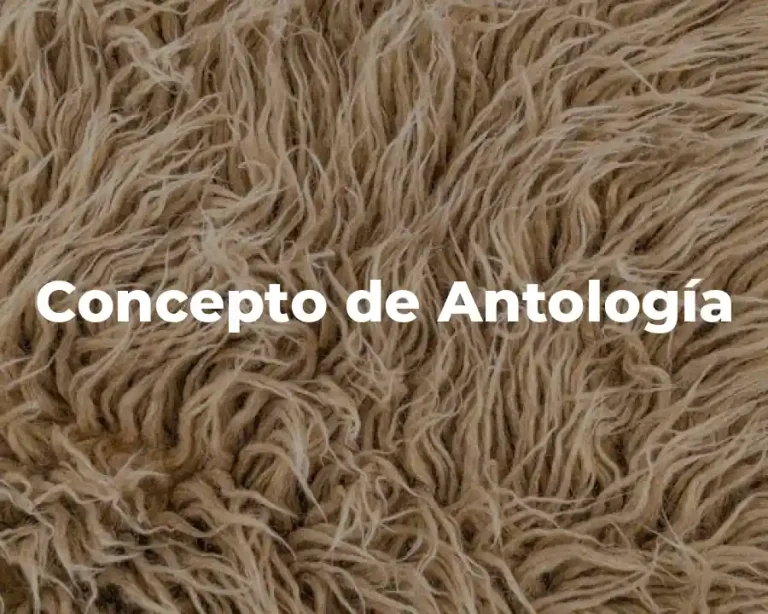 Concepto de Antología