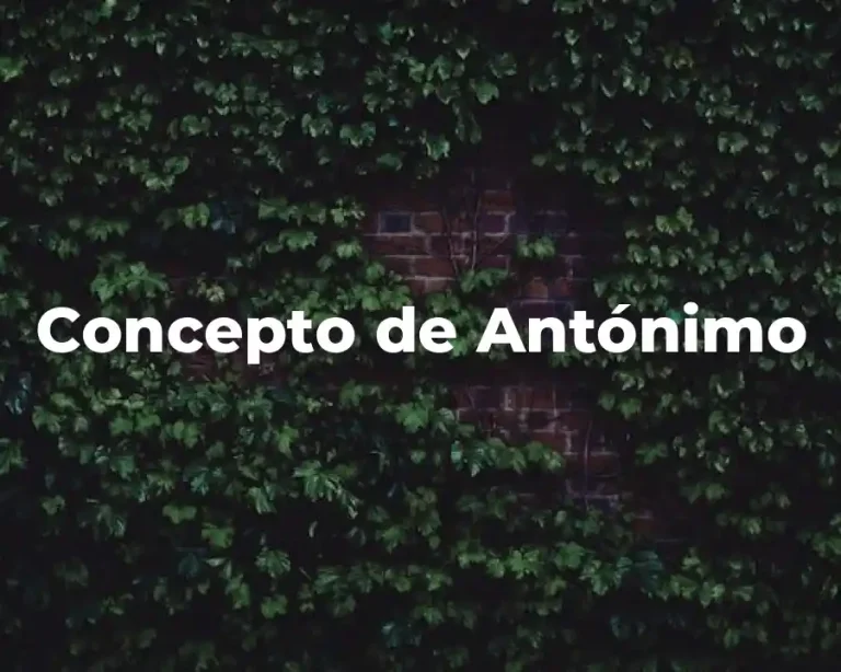 Concepto de Antónimo