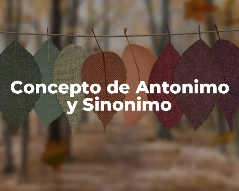 Concepto de Antonimo y Sinonimo