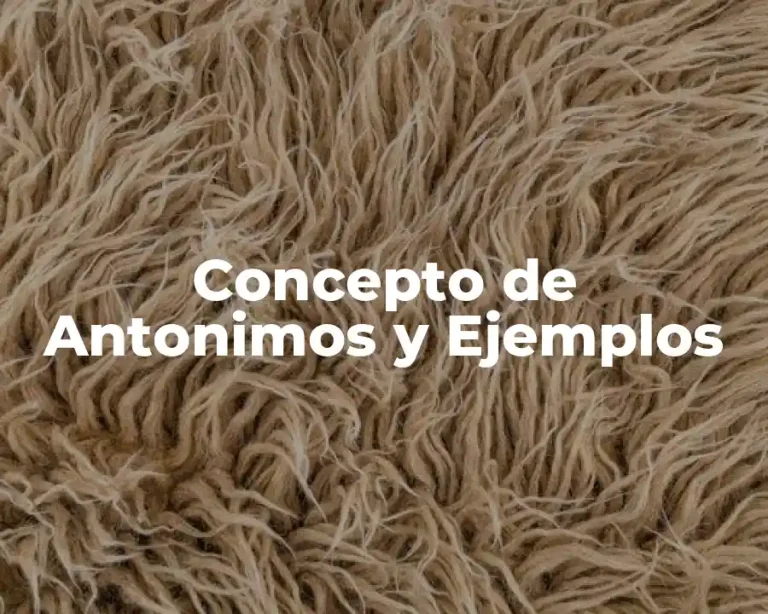Concepto de Antonimos y Ejemplos