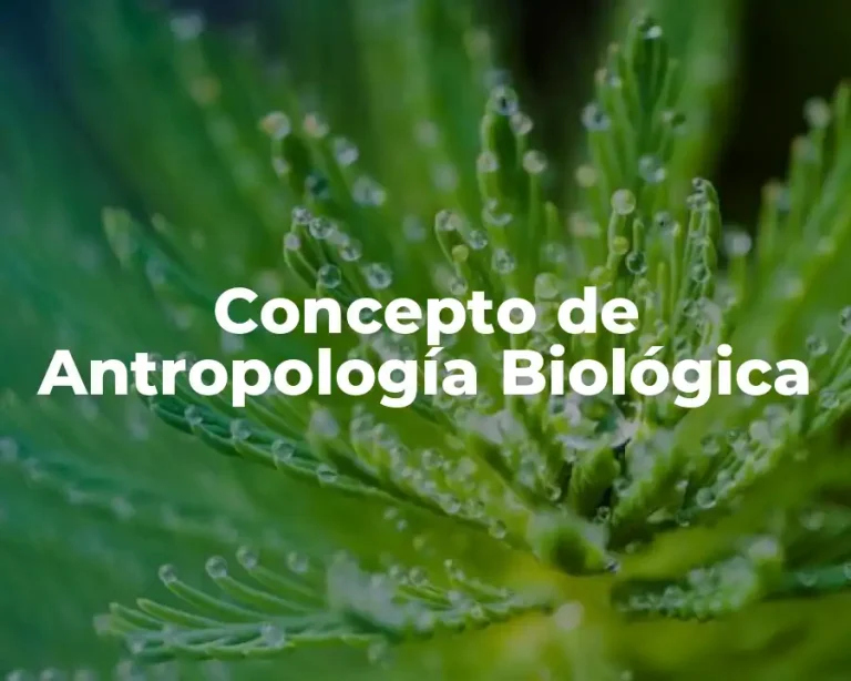 Concepto de Antropología Biológica