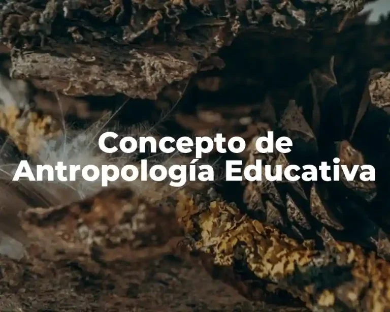Concepto de Antropología Educativa