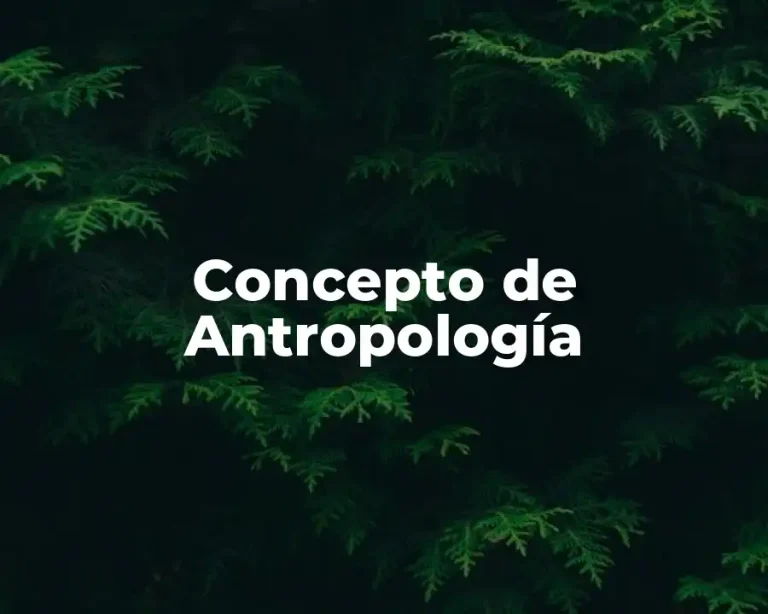 Concepto de Antropología