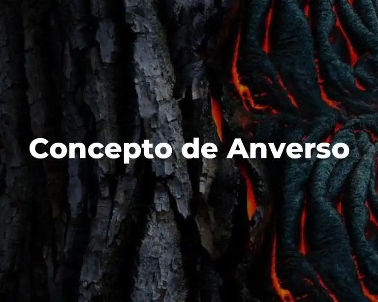 Concepto de Anverso