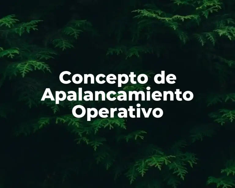 Concepto de Apalancamiento Operativo