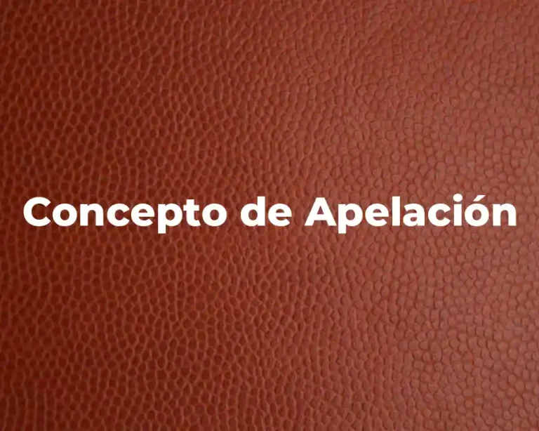 Concepto de Apelación