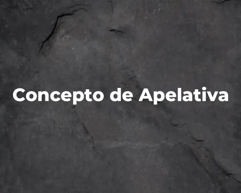 Concepto de Apelativa
