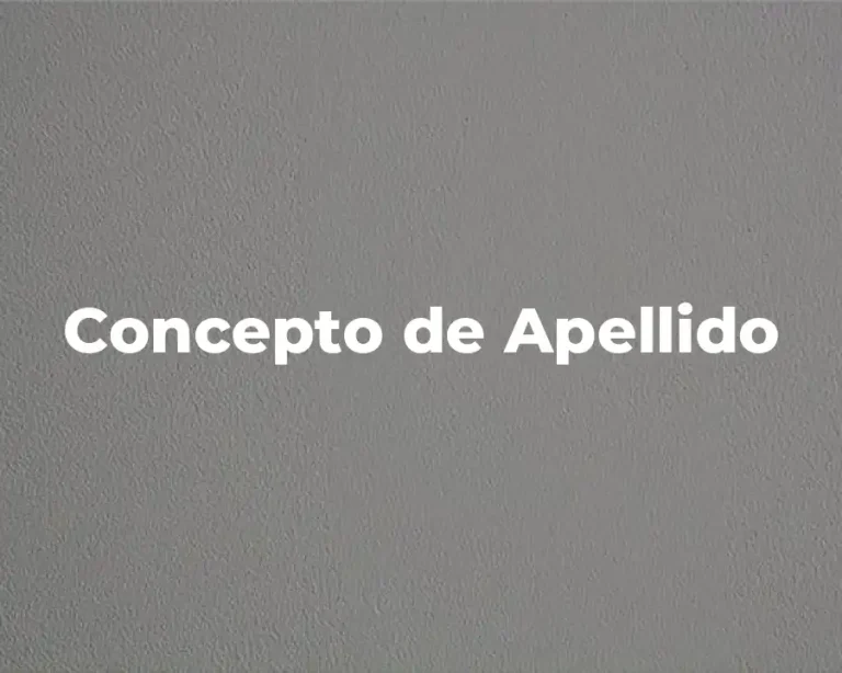 Concepto de Apellido