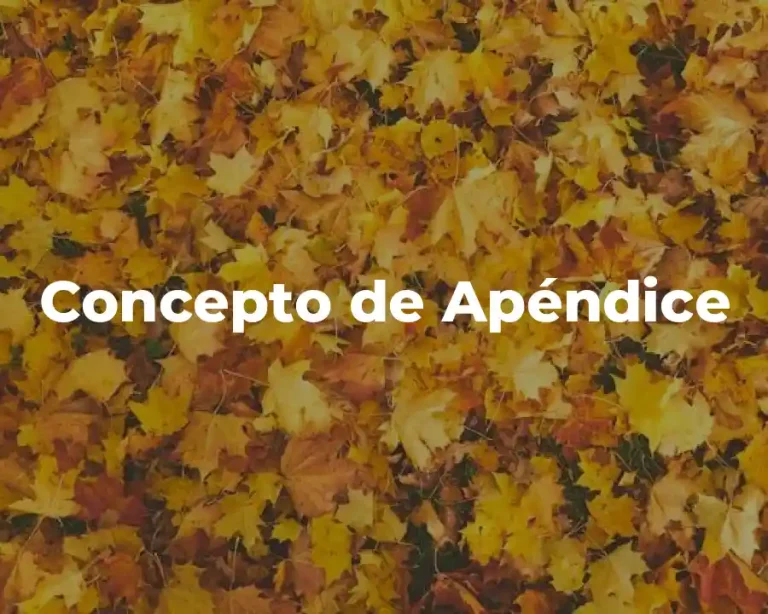 Concepto de Apéndice