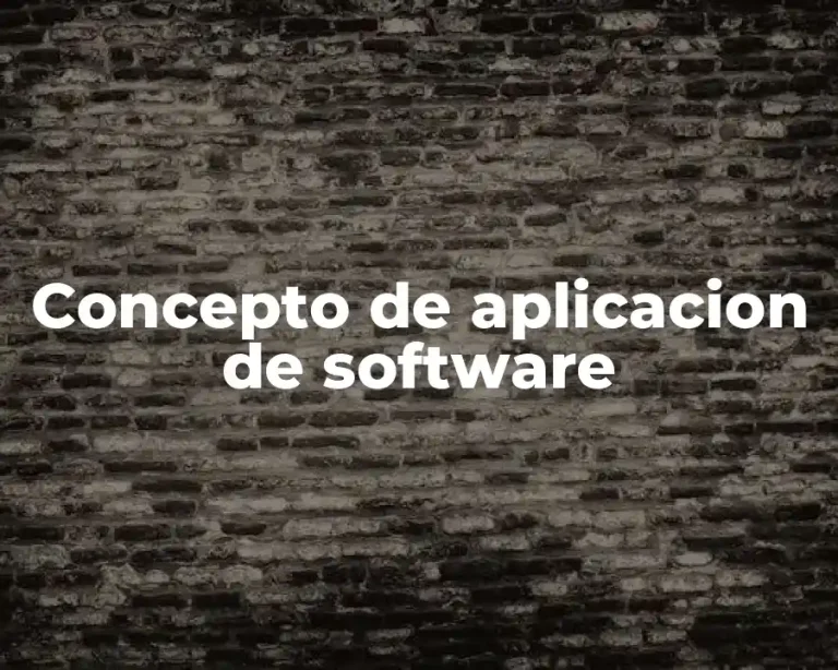Concepto de aplicacion de software