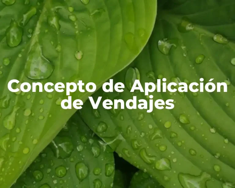 Concepto de Aplicación de Vendajes