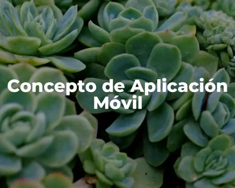 Concepto de Aplicación Móvil