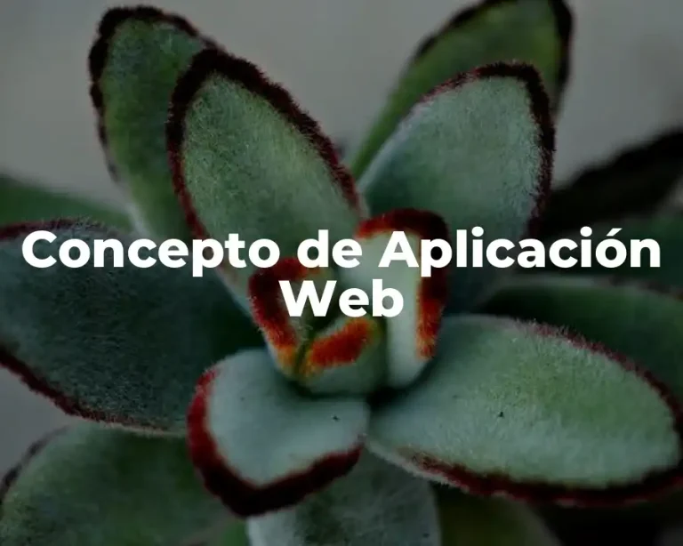 Concepto de Aplicación Web