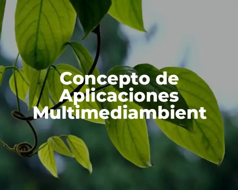 Concepto de Aplicaciones Multimediambient