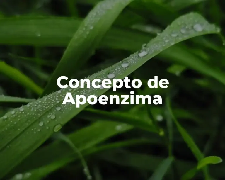 Concepto de Apoenzima