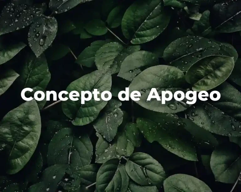 Concepto de Apogeo